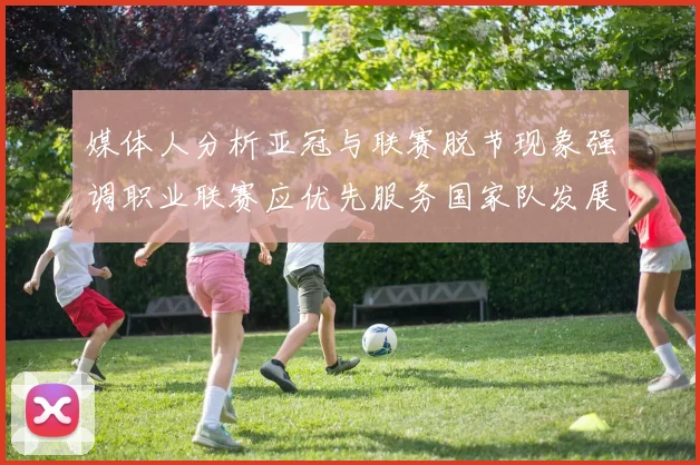 媒体人分析亚冠与联赛脱节现象强调职业联赛应优先服务国家队发展